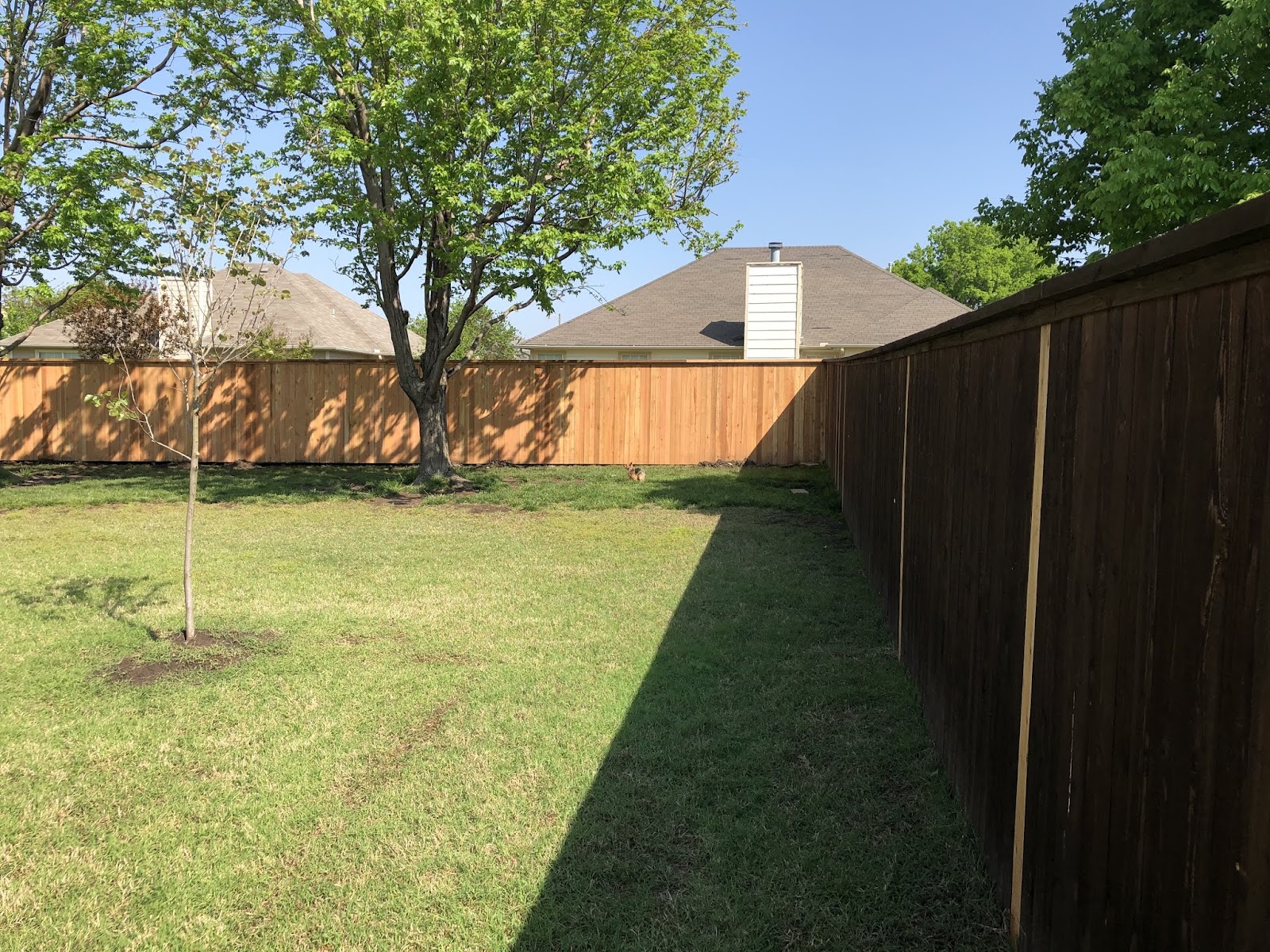 New cedar privacy fence built by LKP Woodworks in a backyard